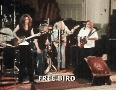A Group Of People Playing Instruments On A Stage With The Words Free Bird On The Bottom Left GIF