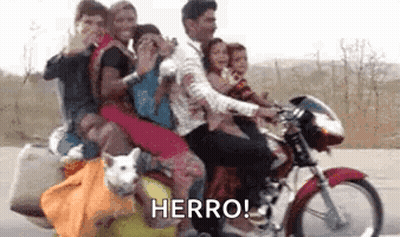 A Group Of People Riding A Motorcycle With A Dog On The Back . GIF