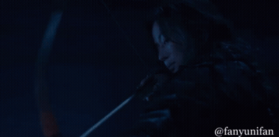 A Group Of People Sitting Around A Fire With The Username @Fanyunifan GIF