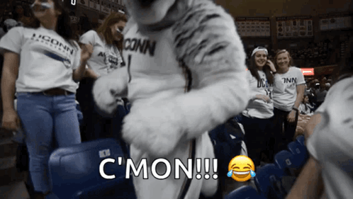 A Group Of People Sitting In A Stadium With A Mascot That Says Conn GIF