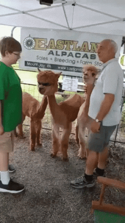 A Group Of People Standing In Front Of A Sign That Says Eastland GIF