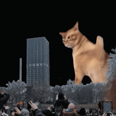 A Group Of People Taking Pictures Of A Giant Cat GIF