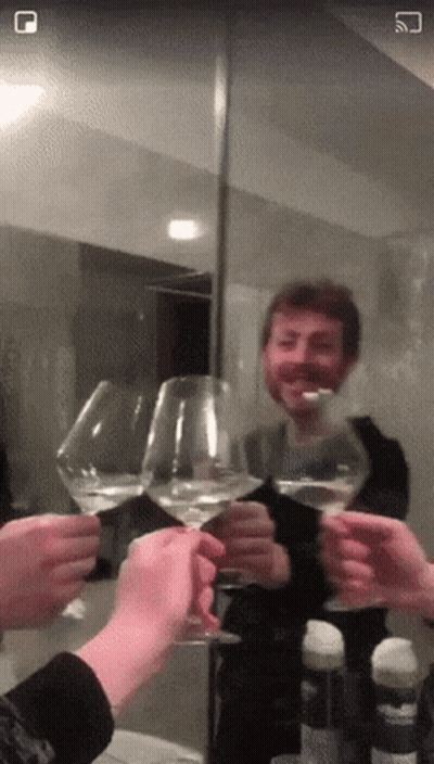 A Group Of People Toasting With Wine Glasses In Front Of A Mirror With A Square In The Corner GIF
