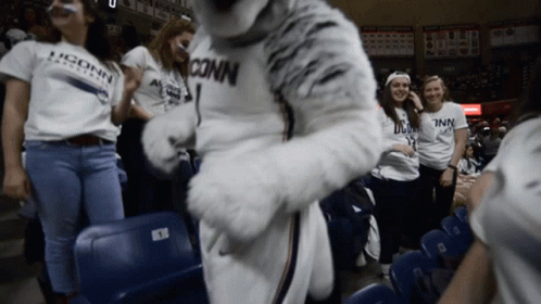 A Group Of People Wearing Conn Shirts Are Standing In A Stadium GIF