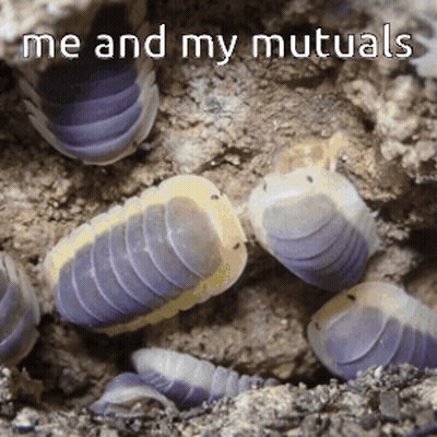 A Group Of Purple And Yellow Worms With The Words Me And My Mutuals Written Above Them GIF
