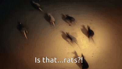 A Group Of Rats Are Running In A Circle And The Words Is That Rats Are Visible GIF