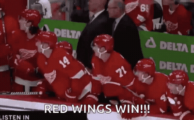 A Group Of Red Wings Hockey Players Are Sitting On The Ice GIF