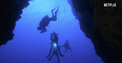 A Group Of Scuba Divers Are Swimming In The Ocean With A Netflix Logo Behind Them GIF