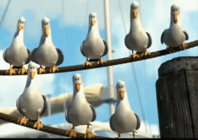 A Group Of Seagulls Are Sitting On A Rope GIF