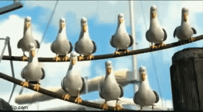 A Group Of Seagulls Are Sitting On A Wire . GIF