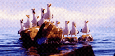 A Group Of Seagulls Are Standing On A Rock In The Middle Of The Ocean GIF