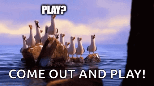 A Group Of Seagulls Are Standing On A Rock In The Ocean With The Words " Play Come Out And Play " Above Them GIF