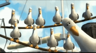 A Group Of Seagulls Are Standing On A Rope GIF