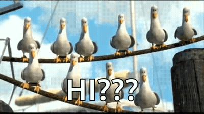 A Group Of Seagulls Are Standing On A Rope With The Words Hi Written On It GIF