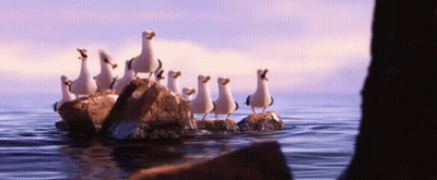 A Group Of Seagulls Are Standing On Rocks In The Ocean GIF