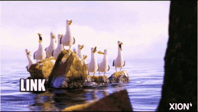 A Group Of Seagulls Are Standing On Rocks In The Water And The Word Link Is Above Them GIF