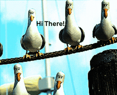 A Group Of Seagulls Sitting On A Wire With The Words Hi There On The Bottom GIF