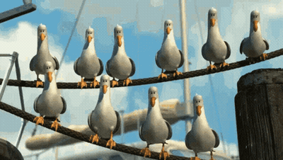 A Group Of Seagulls Standing On A Rope GIF