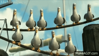 A Group Of Seagulls Standing On A Wire . GIF