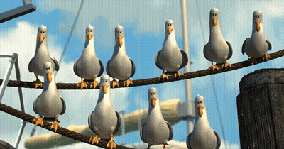 A Group Of Seagulls Standing On A Wire GIF