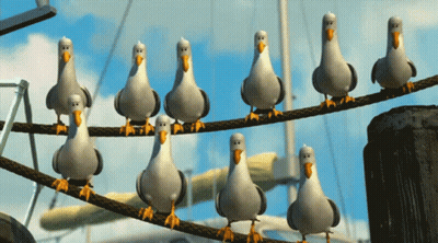 A Group Of Seagulls Standing On A Wire GIF