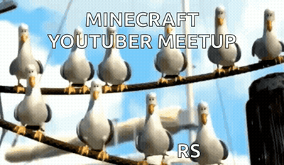 A Group Of Seagulls Standing On A Wire With The Words Minecraft Youtuber Meetup Rs GIF
