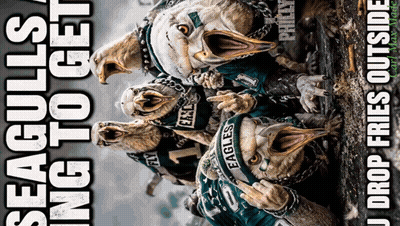 A Group Of Seagulls Wearing Eagles Jerseys Are Standing Next To Each Other With Their Mouths Open GIF