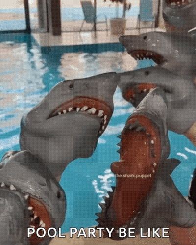 A Group Of Shark Puppets In A Swimming Pool With The Words Pool Party Be Like Below Them GIF