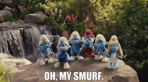 A Group Of Smurfs Are Standing On A Rock In Front Of A Waterfall With The Words Oh My Smurf . GIF