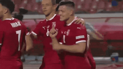A Group Of Soccer Players Are Celebrating A Goal On A Field GIF