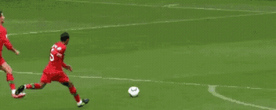 A Group Of Soccer Players Are Playing A Game On A Field With A Hyundai Sign In The Background . GIF