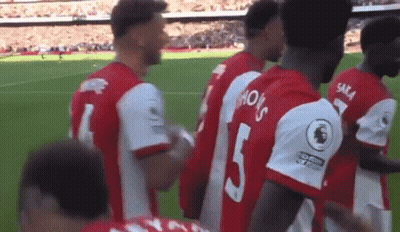 A Group Of Soccer Players Are Standing In A Line On A Field . GIF