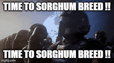 A Group Of Soldiers Saluting With The Caption Time To Sorghum Breed ! GIF