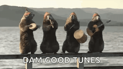 A Group Of Squirrels Are Playing Musical Instruments On A Dock . GIF