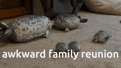 A Group Of Stuffed Seals Are Laying On A Carpet With The Words Awkward Family Reunion Below Them GIF