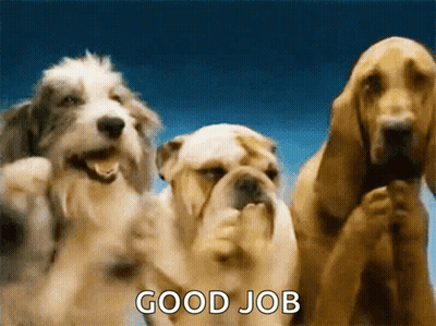 A Group Of Three Dogs Standing Next To Each Other With The Words Good Job Written On The Bottom GIF