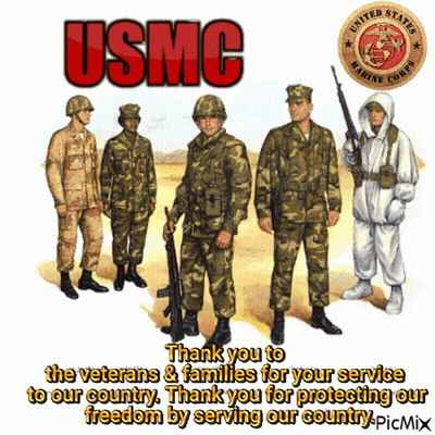 A Group Of Usmc Soldiers Are Standing In A Desert GIF