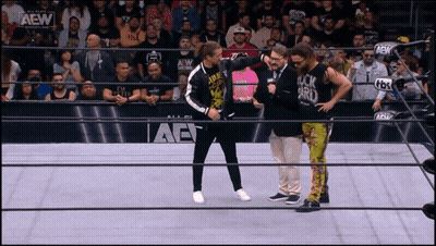 A Group Of Wrestlers Are Standing In A Ring With Aew Written On The Side Of The Ring GIF