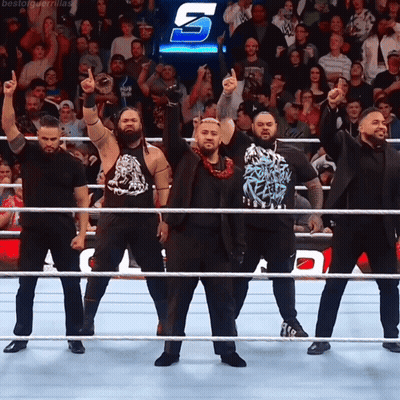 A Group Of Wrestlers Are Standing In A Ring With Their Arms In The Air With The Letter S In The Background GIF
