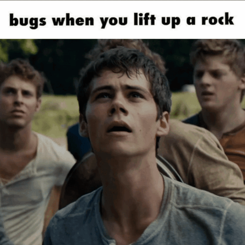 A Group Of Young Men Are Looking Up At The Sky With The Caption Bugs When You Lift Up A Rock GIF