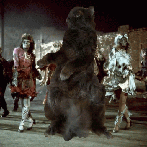 A Group Of Zombies Are Walking Down A Street With A Black Cat Standing In The Middle GIF