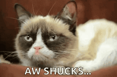 A Grumpy Cat Is Laying Down With The Words Aw Shucks Written Below It GIF