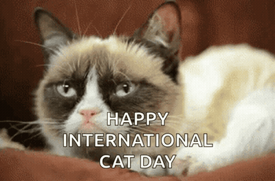 A Grumpy Cat Is Laying Down With The Words Happy International Cat Day Written Above It GIF