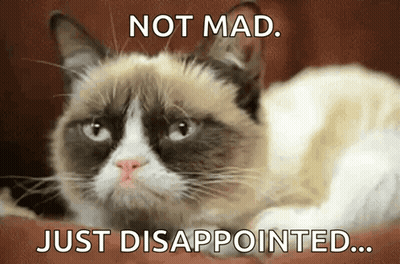 A Grumpy Cat Is Laying Down With The Words Not Mad Just Disappointed GIF