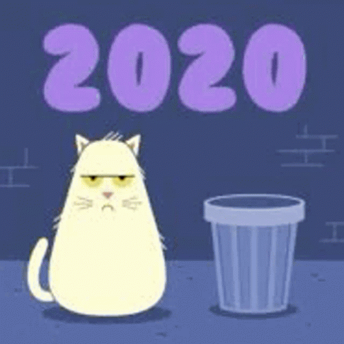 A Grumpy Cat Is Sitting Next To A Trash Can With The Year 2020 On It . GIF