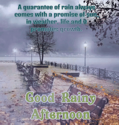 A Guarantee Of Rain Always Comes With A Promise Of Sun In Weather , Life And It Promotes Growth . GIF