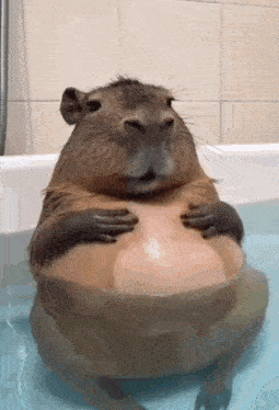 A Guinea Pig Is Sitting In A Bathtub Holding A Ball GIF