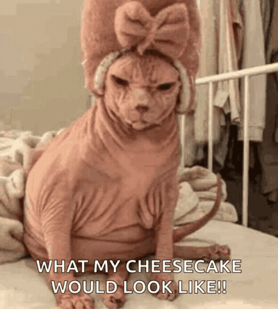 A Hairless Cat Is Sitting On A Bed Wearing A Pink Hat And Ear Muffs . GIF