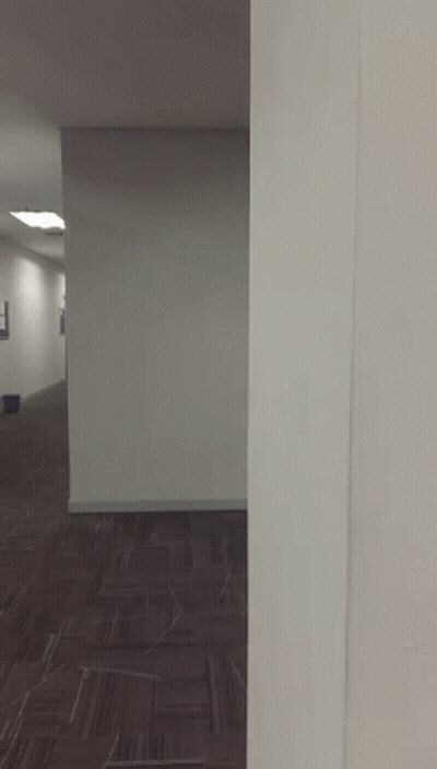 A Hallway With A Carpeted Floor And A White Wall GIF