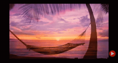 A Hammock Is Hanging From A Palm Tree On The Beach At Sunset GIF